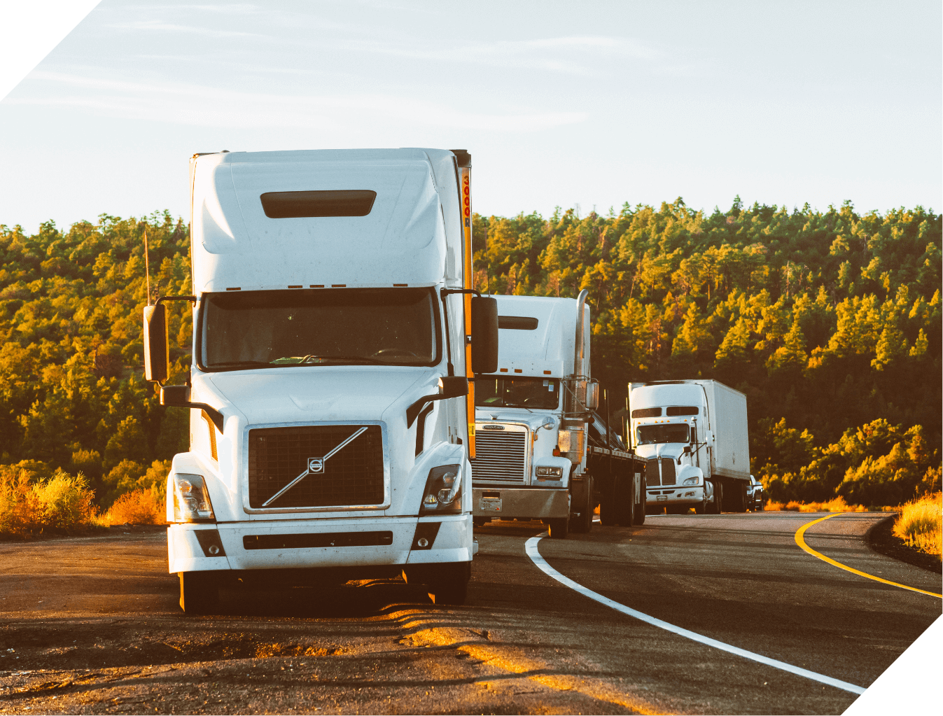 Fleet management